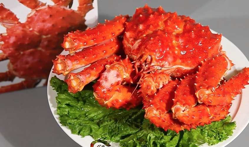 海鲜海产品商业实拍视频龙虾帝王蟹